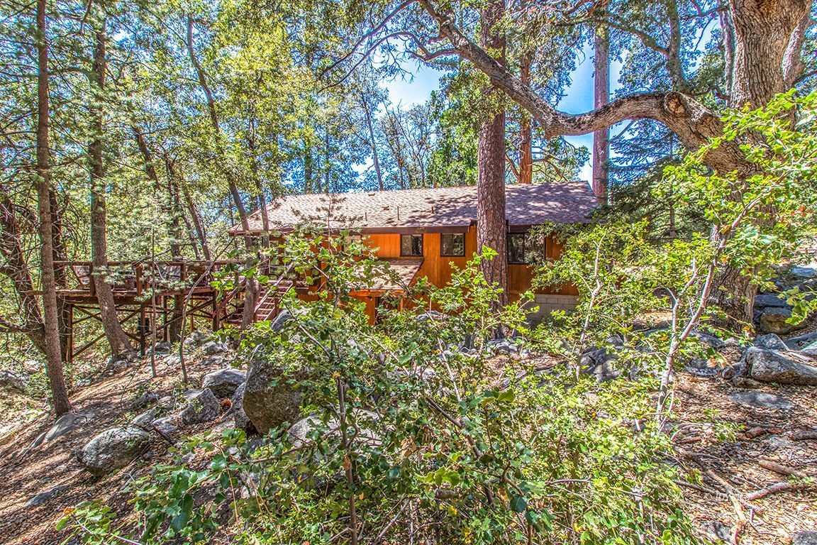 25570 Glen Road Idyllwild, CA 92549 - Photo 54 of 68 a view of a yard with plants and trees