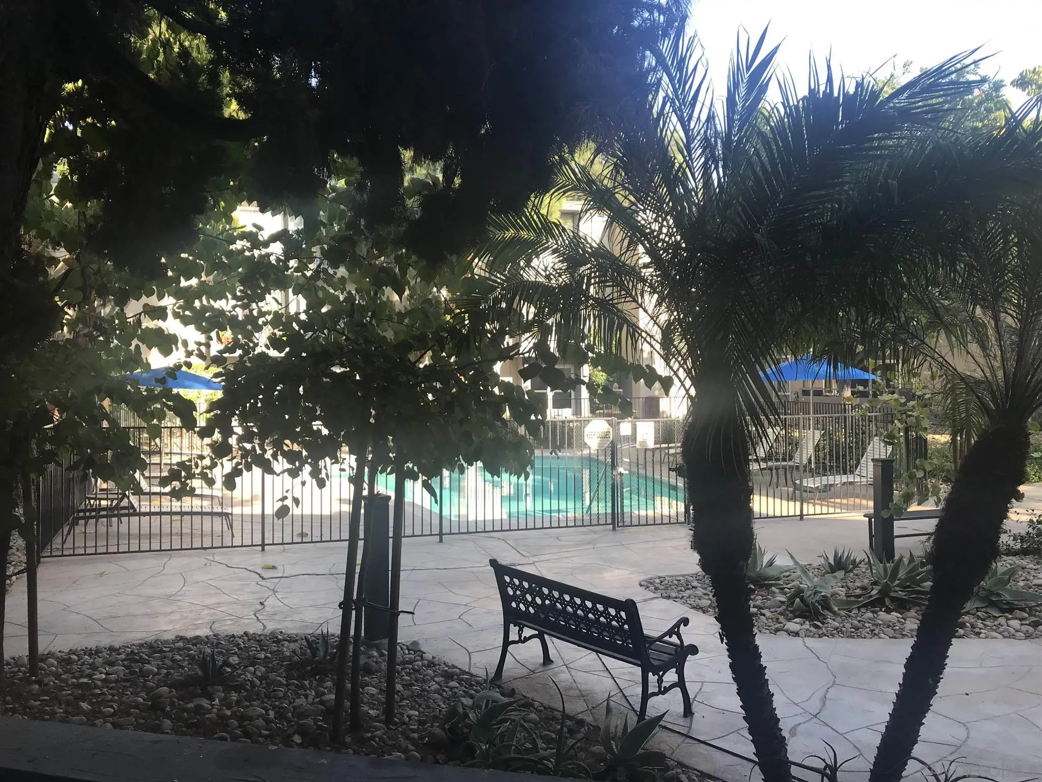 4860 Rolando Court, Unit 20 San Diego, CA 92115 - Photo 19 of 23 a view of a yard with plants and tree