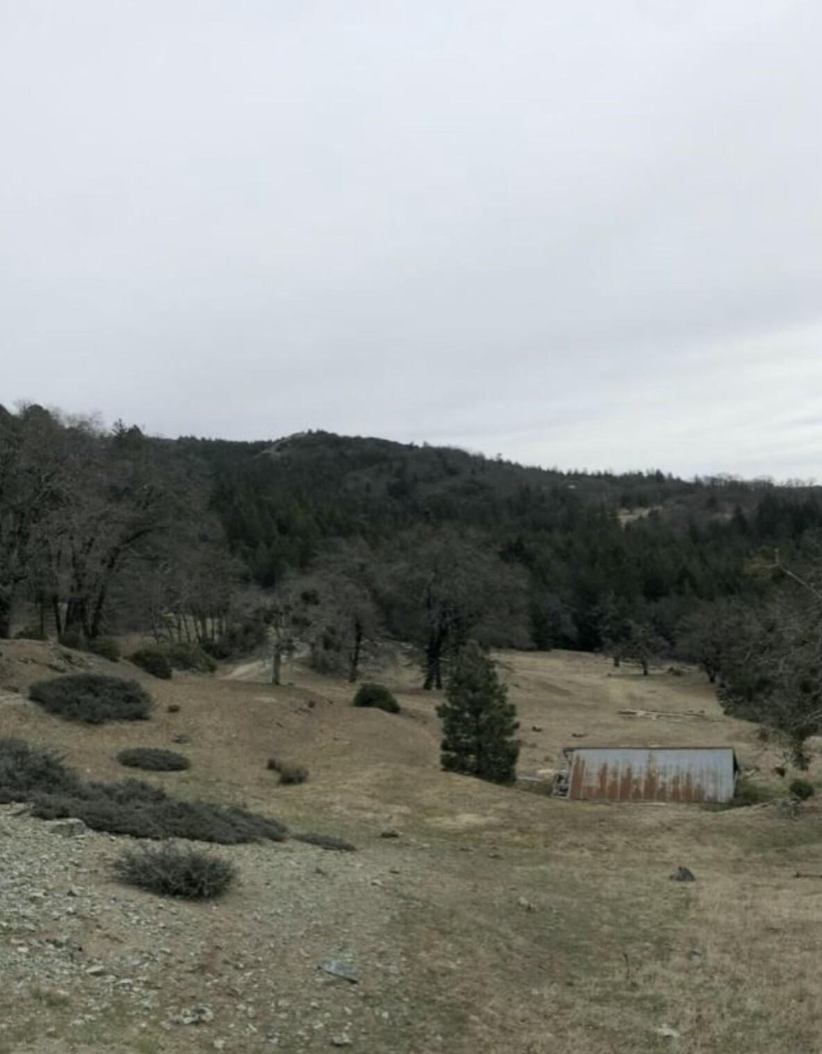 0 Buck Mountain Road Bridgeville, CA 95526 - Photo 4 of 8