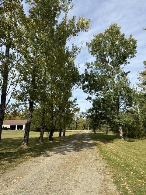 378 Main Street Princeton, ME 04668 - Photo 106 of 110 IMG_6272