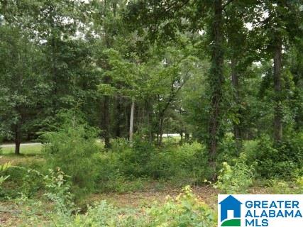 0 Perseverance Lane Odenville, AL 35120 - Photo 9 of 13