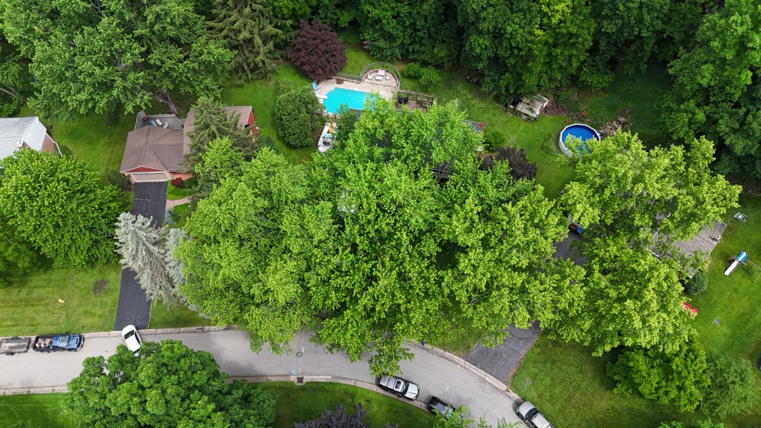 50 Heather Drive Rochester, NY 14625 - Photo 3 of 31 A Bird's eye view