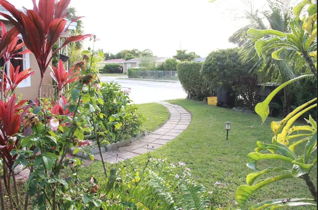 a view of a backyard