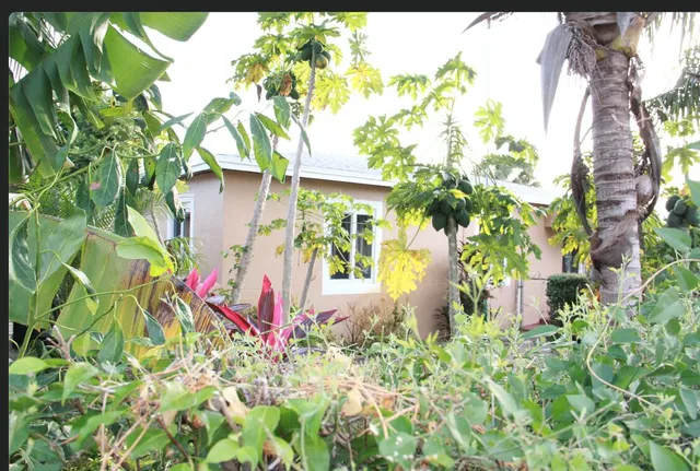 a vase with flowers in front of it