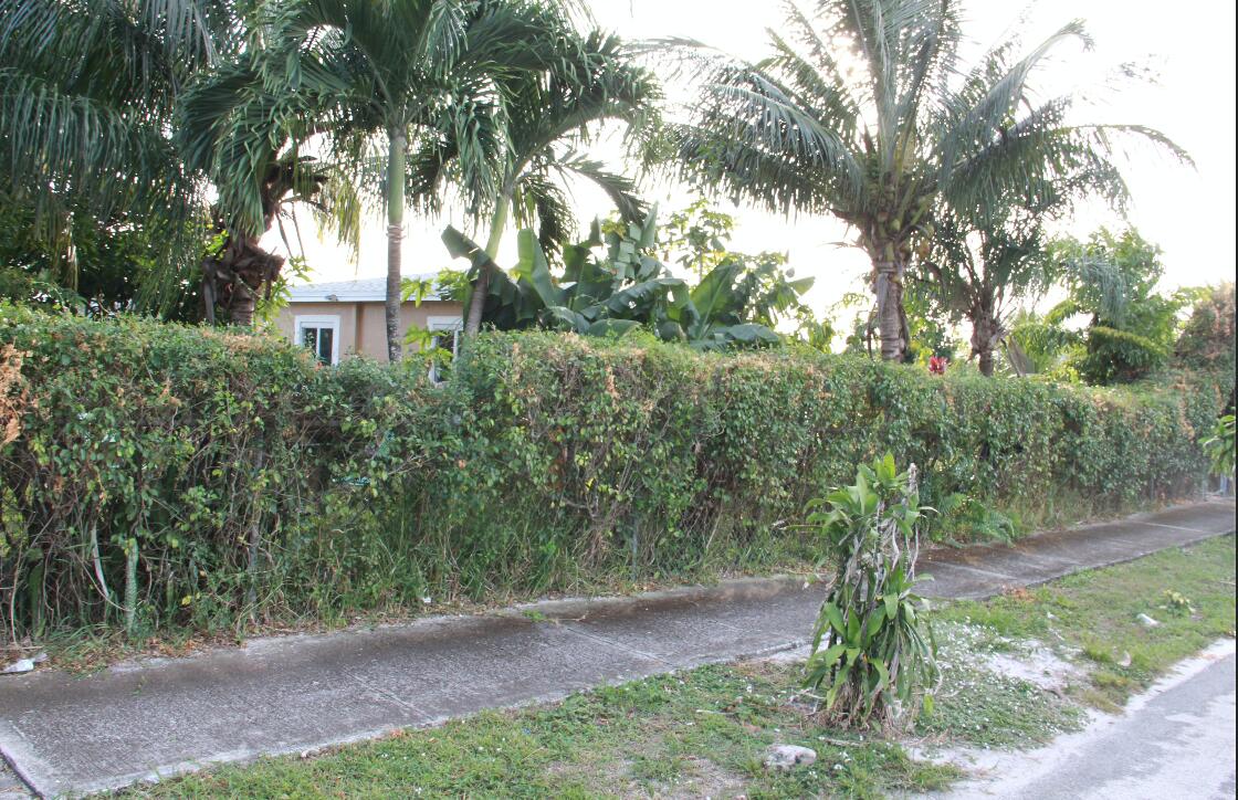 1402 South C Street Lake Worth Beach, FL 33460 - Photo 9 of 27 a view of a yard with plants and a large trees