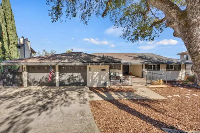 a view of a back yard