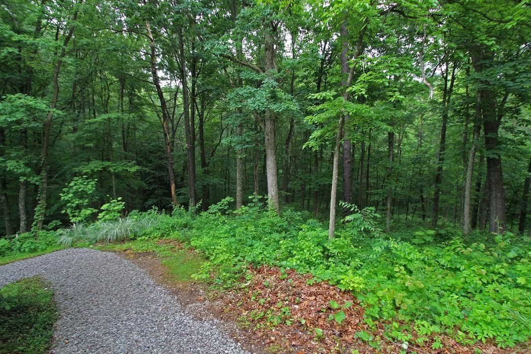 25249 Chapel Ridge Road South Bloomingville, OH 43152 - Photo 11 of 68 Gallery Image 11