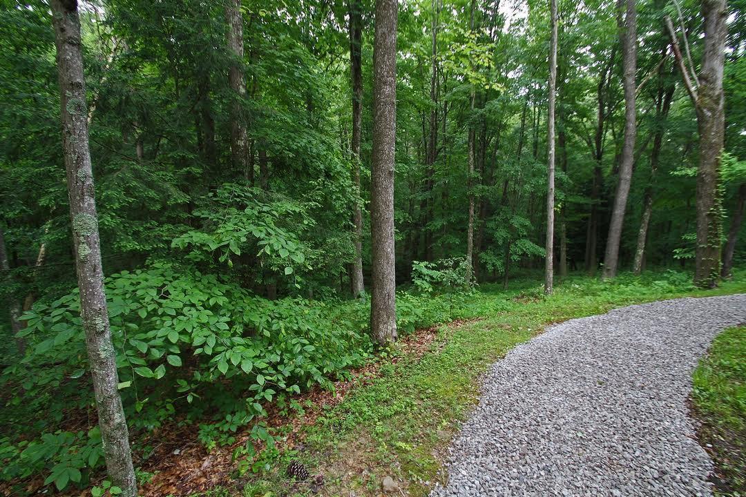 25249 Chapel Ridge Road South Bloomingville, OH 43152 - Photo 2 of 68 Gallery Image 2