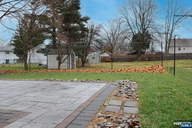 a street view with large trees