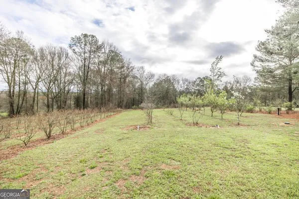 $575,000 | 319 Pope Road, Roberta, GA 31078