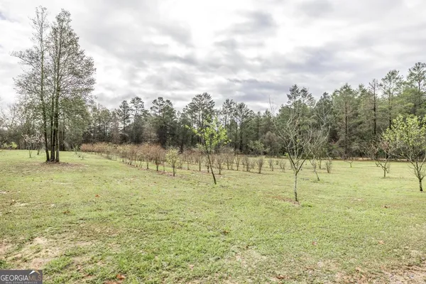 $575,000 | 319 Pope Road, Roberta, GA 31078