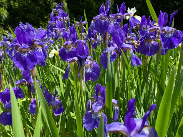 $1,698 | 155 Eastern Avenue, Unit 103, Manchester, NH 03104