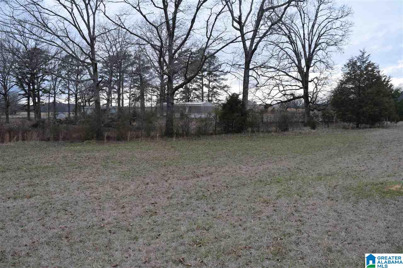 11218 Vance Blocton Road Vance, AL 35490 - Photo 13 of 37
