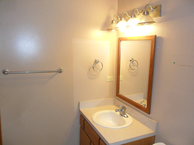 779 Sojourn Road, Unit 779 New Lenox, IL 60451 - Photo 15 of 17