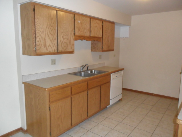 779 Sojourn Road, Unit 779 New Lenox, IL 60451 - Photo 8 of 17