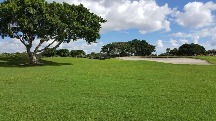 541 Normandy L Delray Beach, FL 33484 - Photo 39 of 55 a view of a big yard with plants and large trees