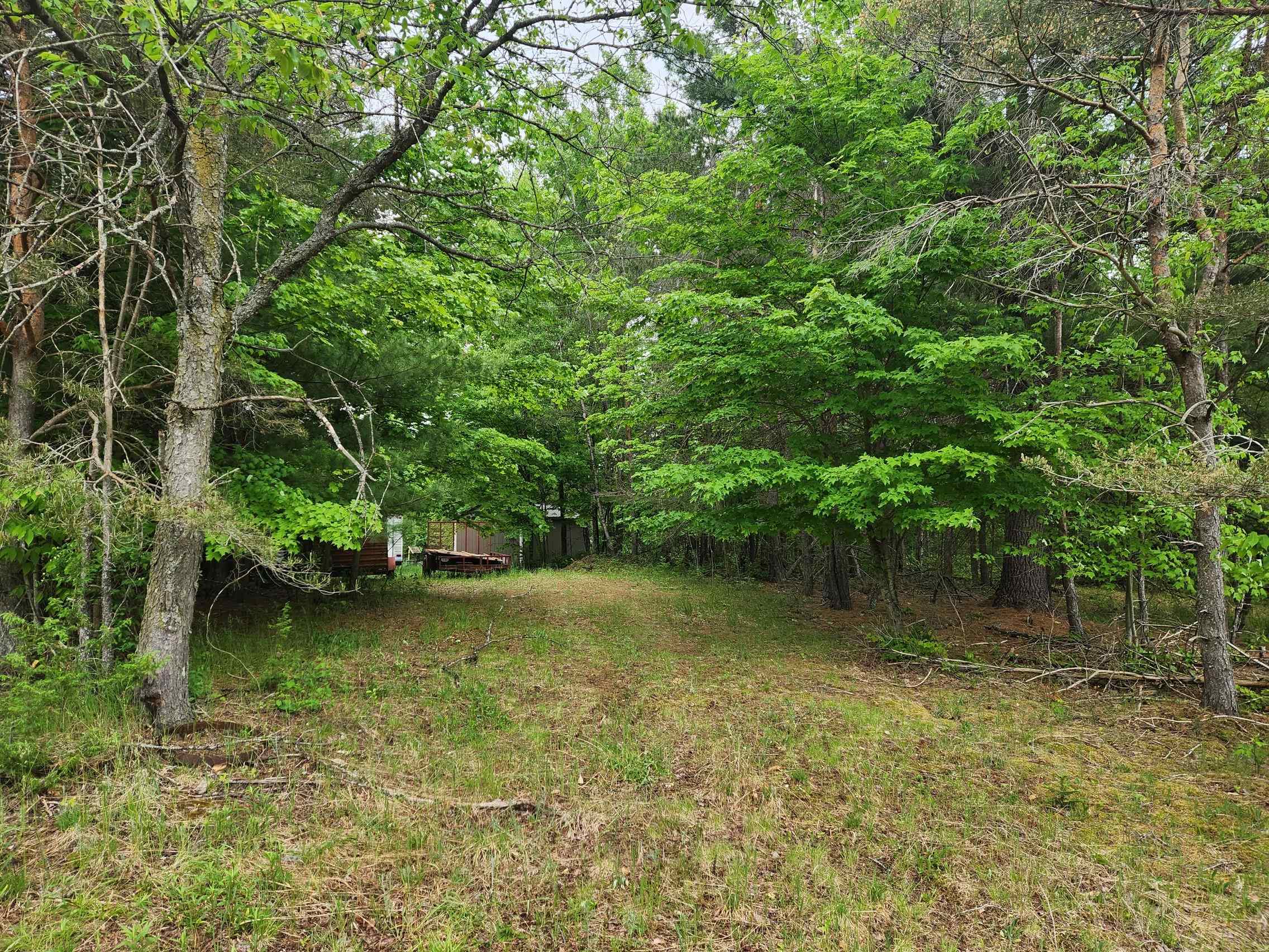 5948 Kniss Road Southeast Kalkaska, MI 49646 - Photo 13 of 37