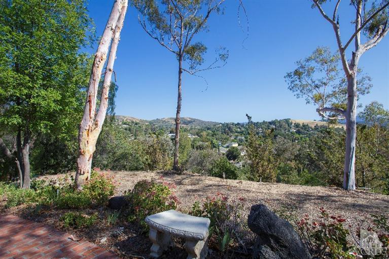 1815 La Granada Drive Thousand Oaks, CA 91362 - Photo 24 of 38 a view of a backyard with plants and a large tree