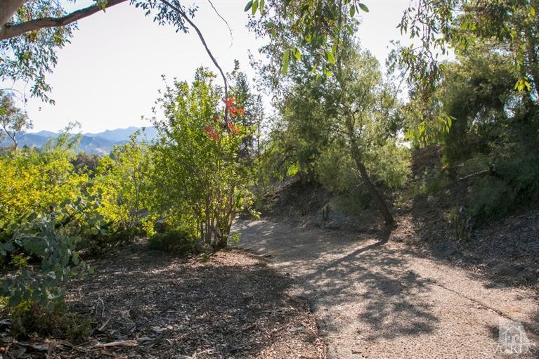 1815 La Granada Drive Thousand Oaks, CA 91362 - Photo 38 of 38 a view of a forest with trees
