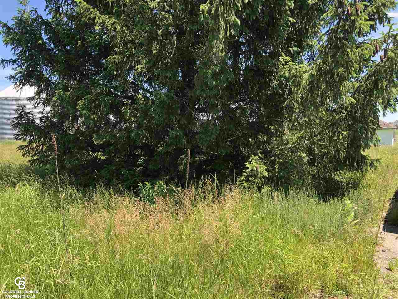 8768 Lapeer Road Mayville, MI 48744 - Photo 6 of 11