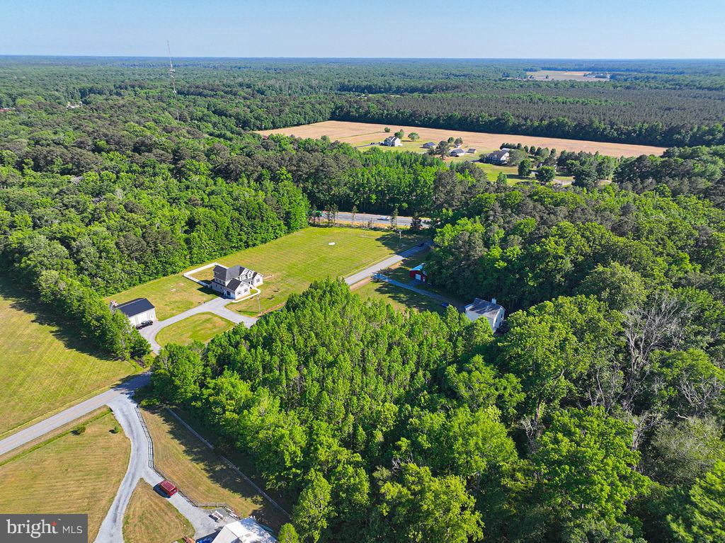 Lot 7 Bell Road Whaleyville, MD 21872 - Photo 12 of 20