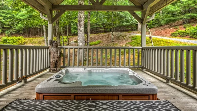 $919,899 | 1630 Black Ankle Creek Road, Cherry Log, GA 30522