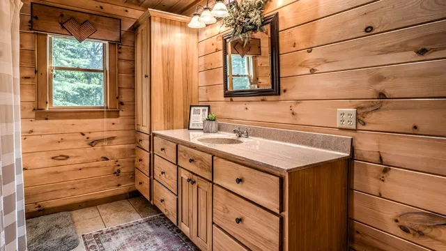 $919,899 | 1630 Black Ankle Creek Road, Cherry Log, GA 30522