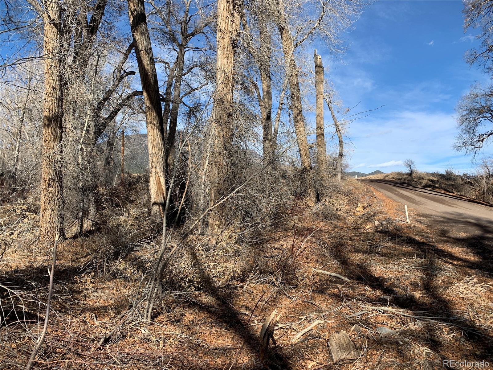500 Alpine Road South Fork, CO 81154 - Photo 10 of 13 Gallery Image 10