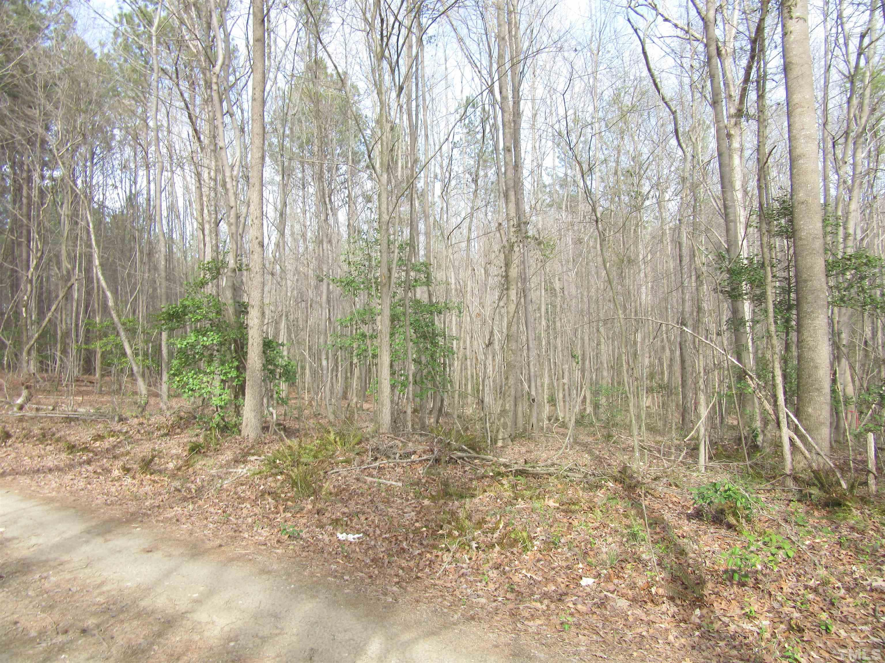 3 A Driver Road Middlesex, NC 27557 - Photo 2 of 6 Gallery Image 2