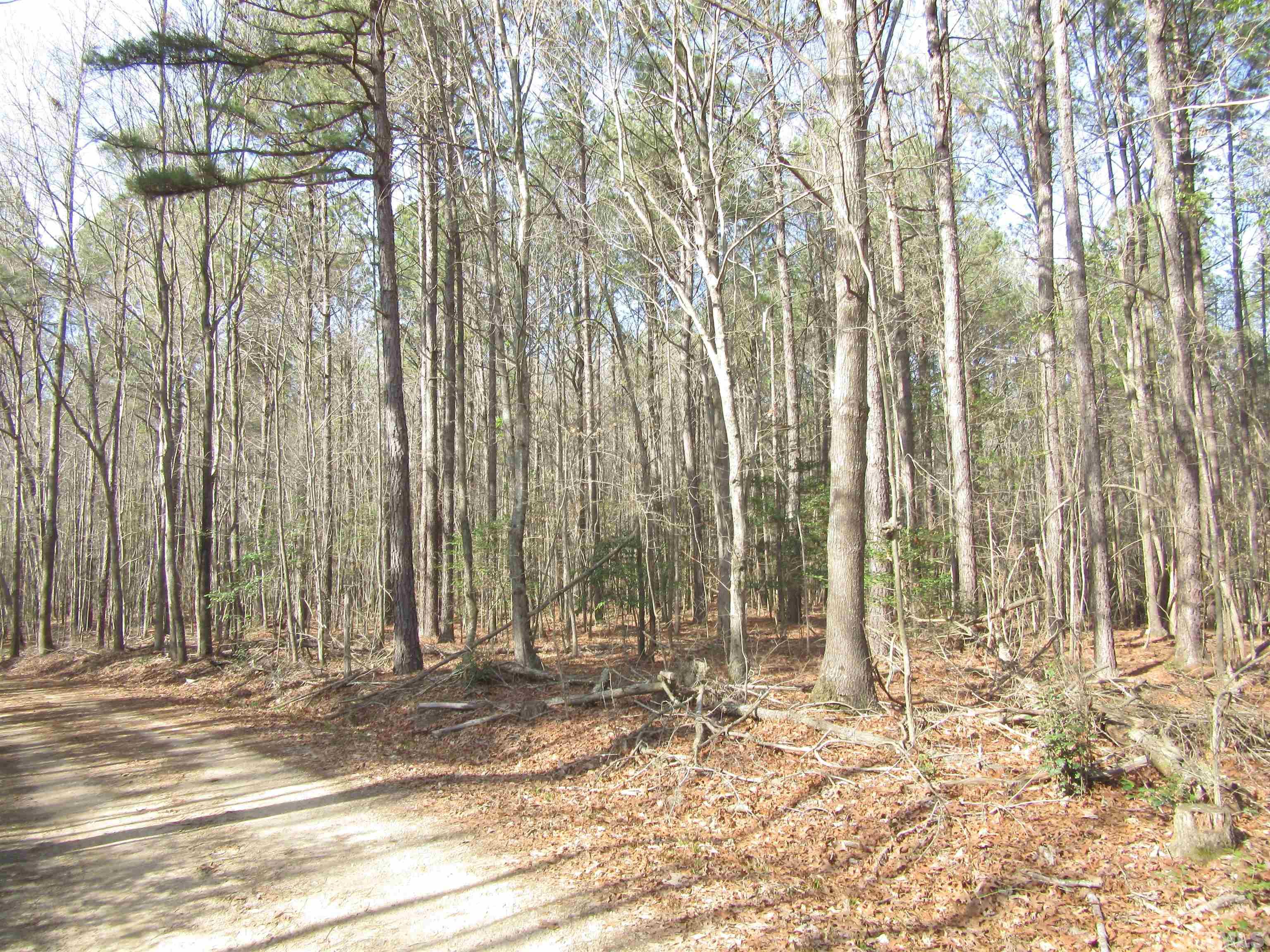 3 A Driver Road Middlesex, NC 27557 - Photo 3 of 6 Gallery Image 3