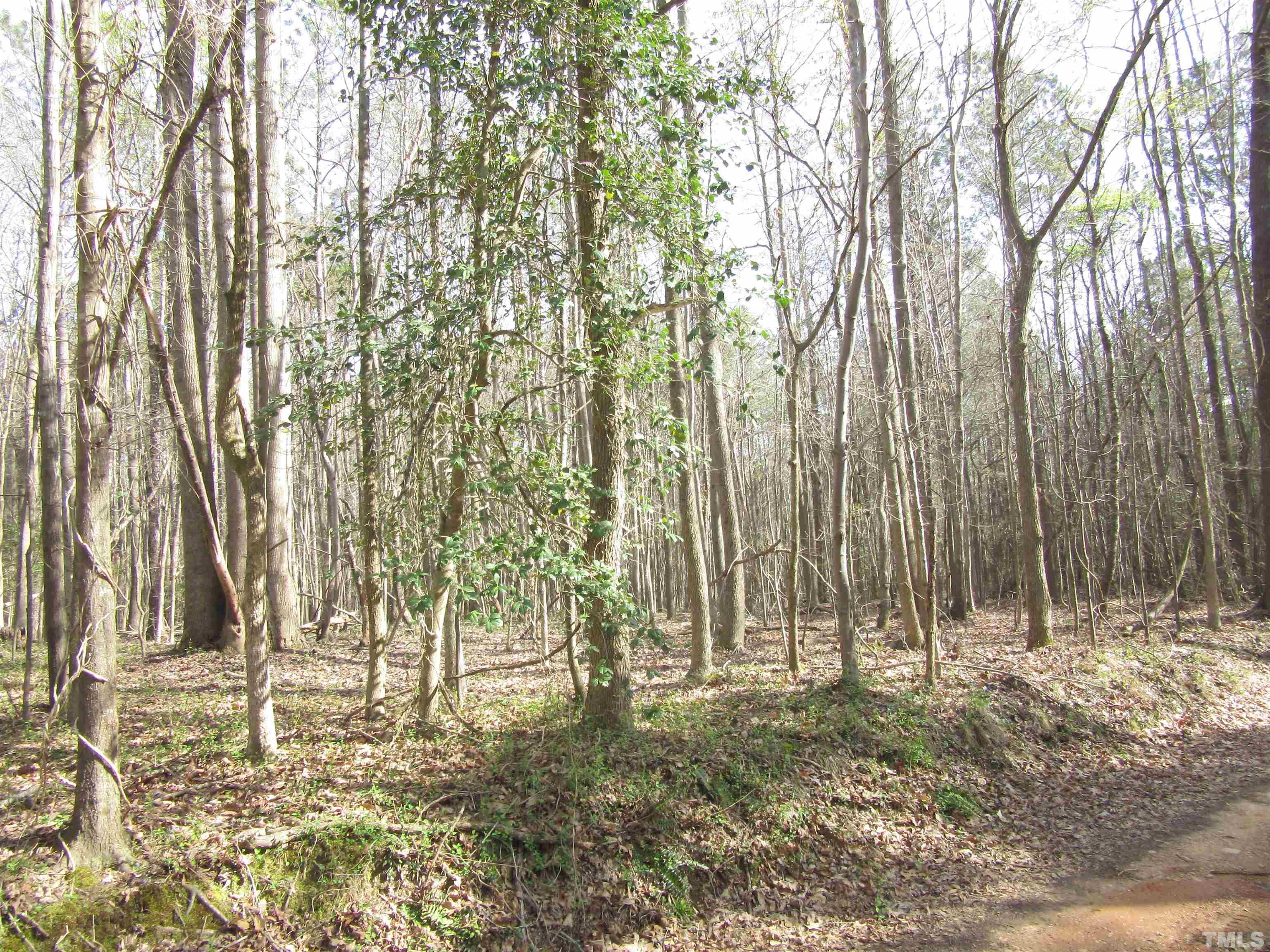 3 A Driver Road Middlesex, NC 27557 - Photo 5 of 6 Gallery Image 5