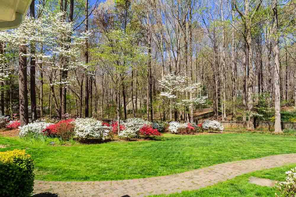 11905 Old Creedmoor Road Raleigh, NC 27613 - Photo 22 of 24 Exterior Back