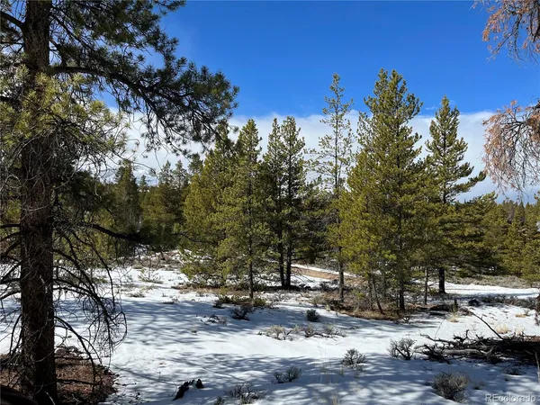 $47,000 | 28 Juniper Drive, Twin Lakes, CO 81251