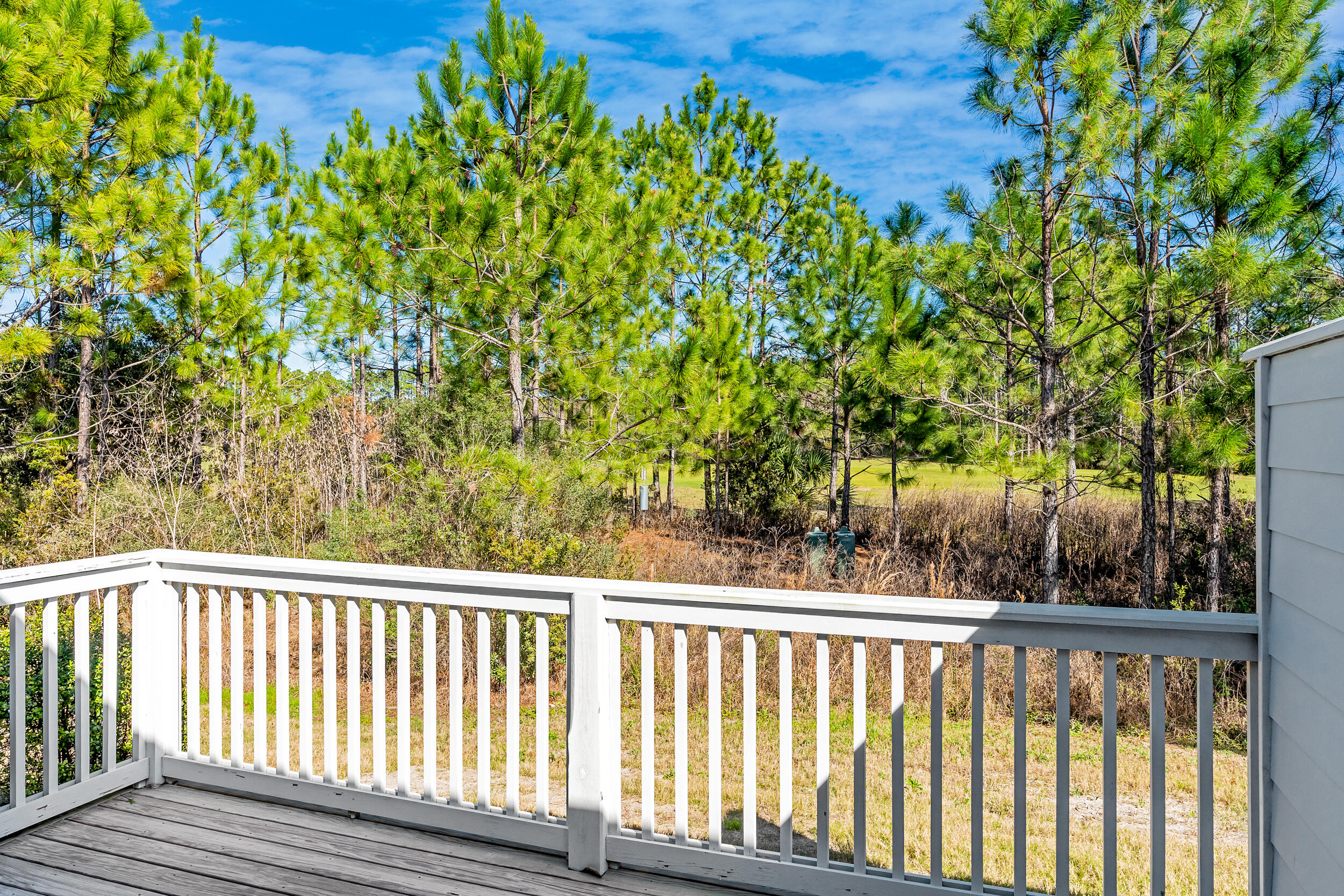 55 Golden Bell Ct Inlet Beach, Unit 55C Inlet Beach, FL 32461 - Photo 2 of 47 a view of balcony with wooden floor