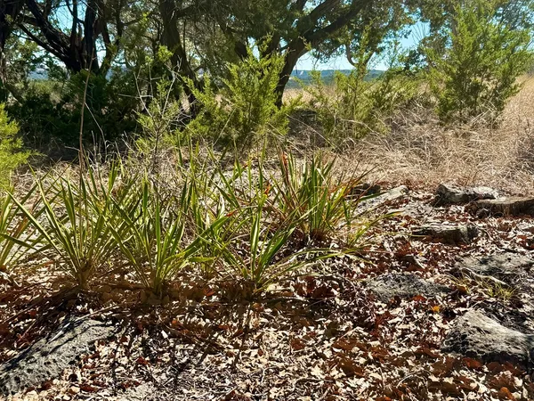 $649,000 | 135-145 Jon Bevan Lane, Ingram, TX 78025