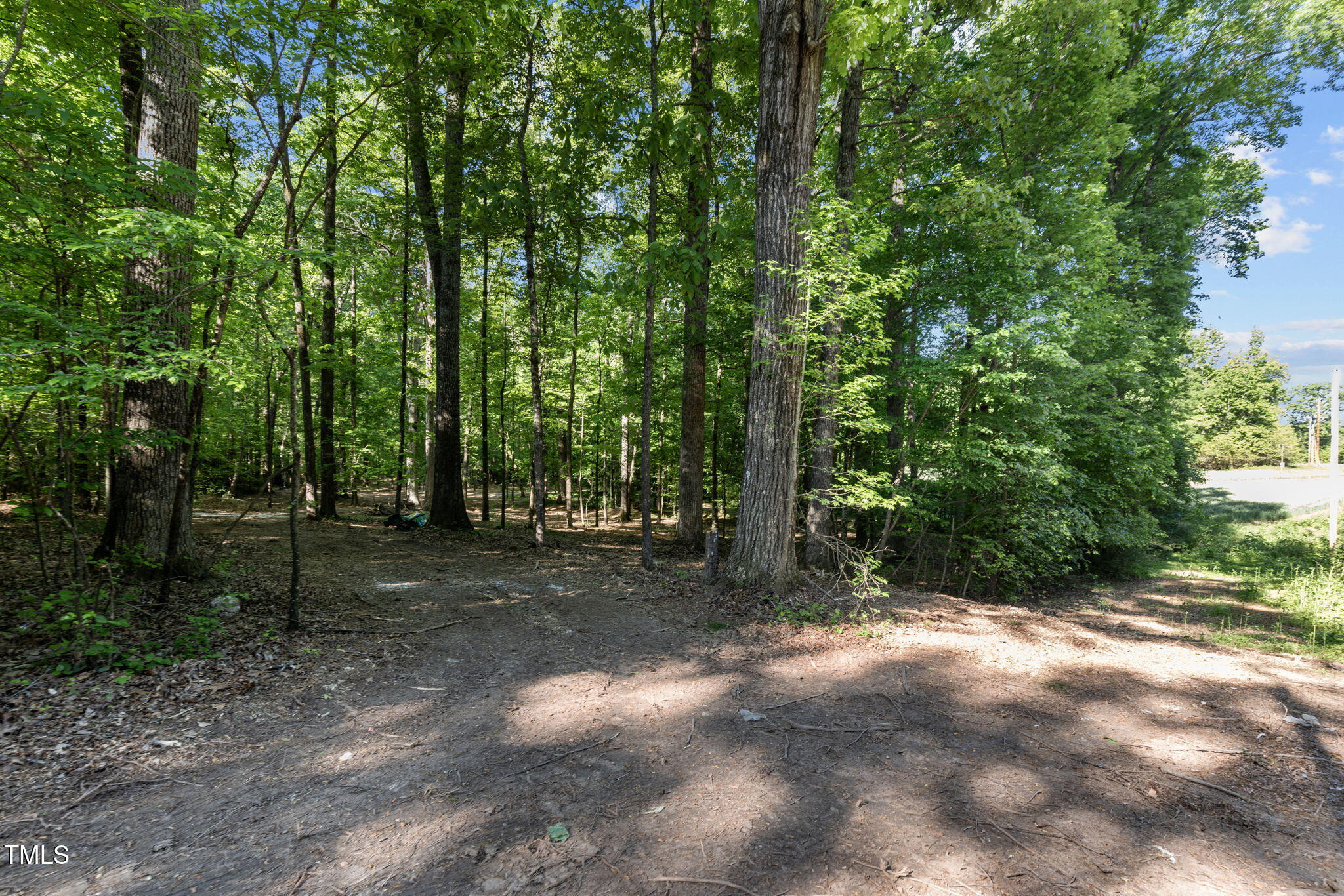 Lot 3 Helena Moriah Road Timberlake, NC 27583 - Photo 3 of 7 a view of a forest with trees in the background