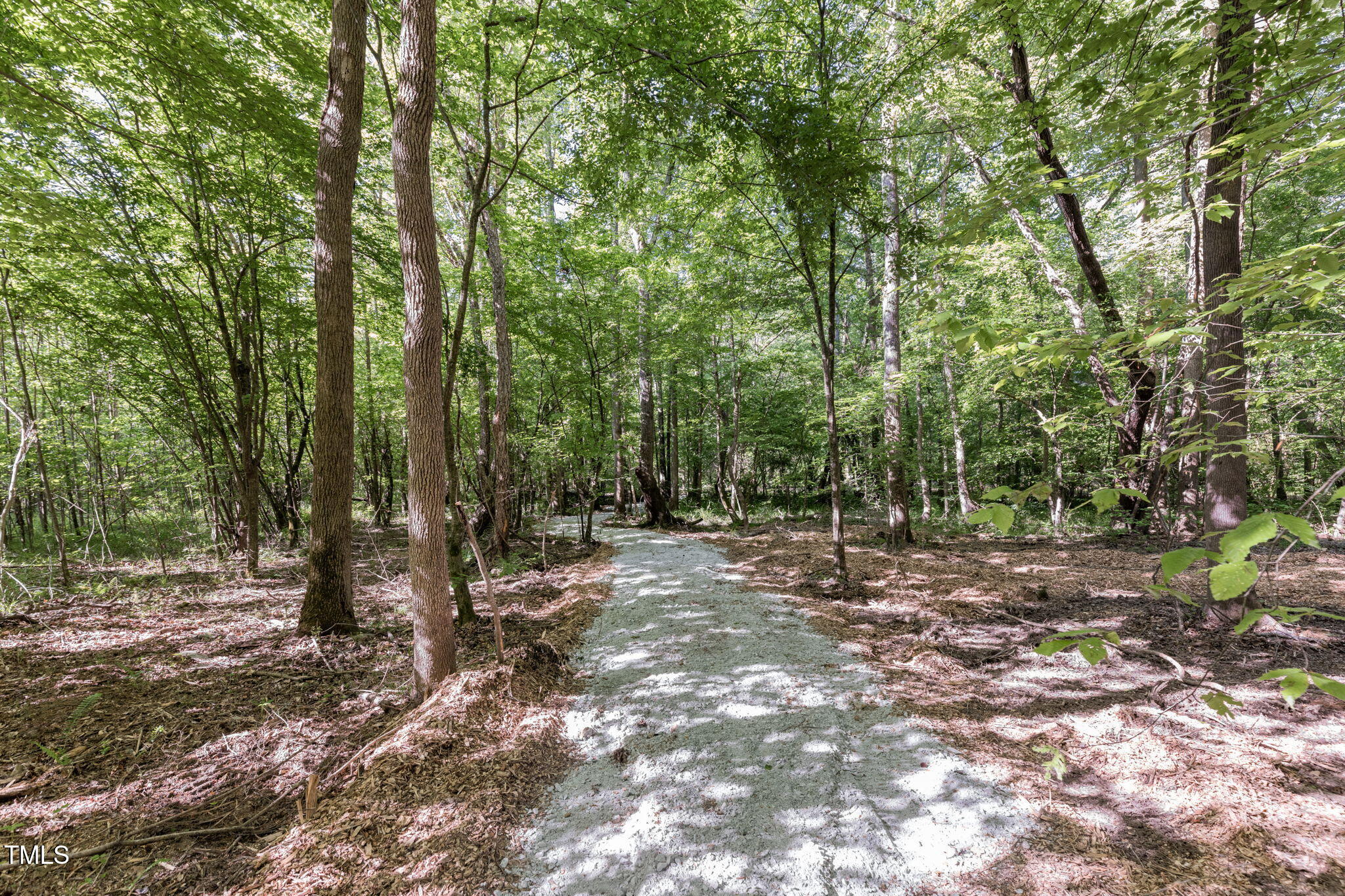 Lot 3 Helena Moriah Road Timberlake, NC 27583 - Photo 5 of 7 a view of outdoor space with trees