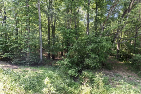 a view of a forest with trees