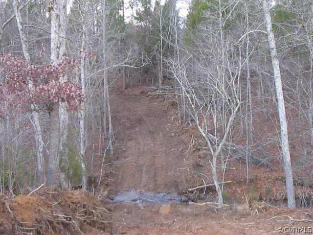 0 Riverbuck Road Alberta, VA 23821 - Photo 1 of 1 Exterior Front - Road through Creek