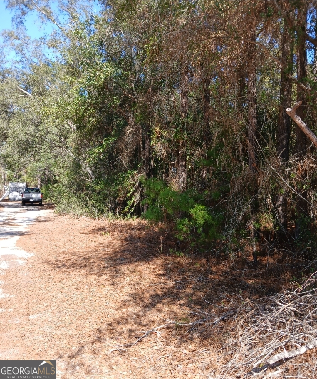 2 Owen Spatcher Road Folkston, GA 31537 - Photo 3 of 14 a view of a yard with plants and trees