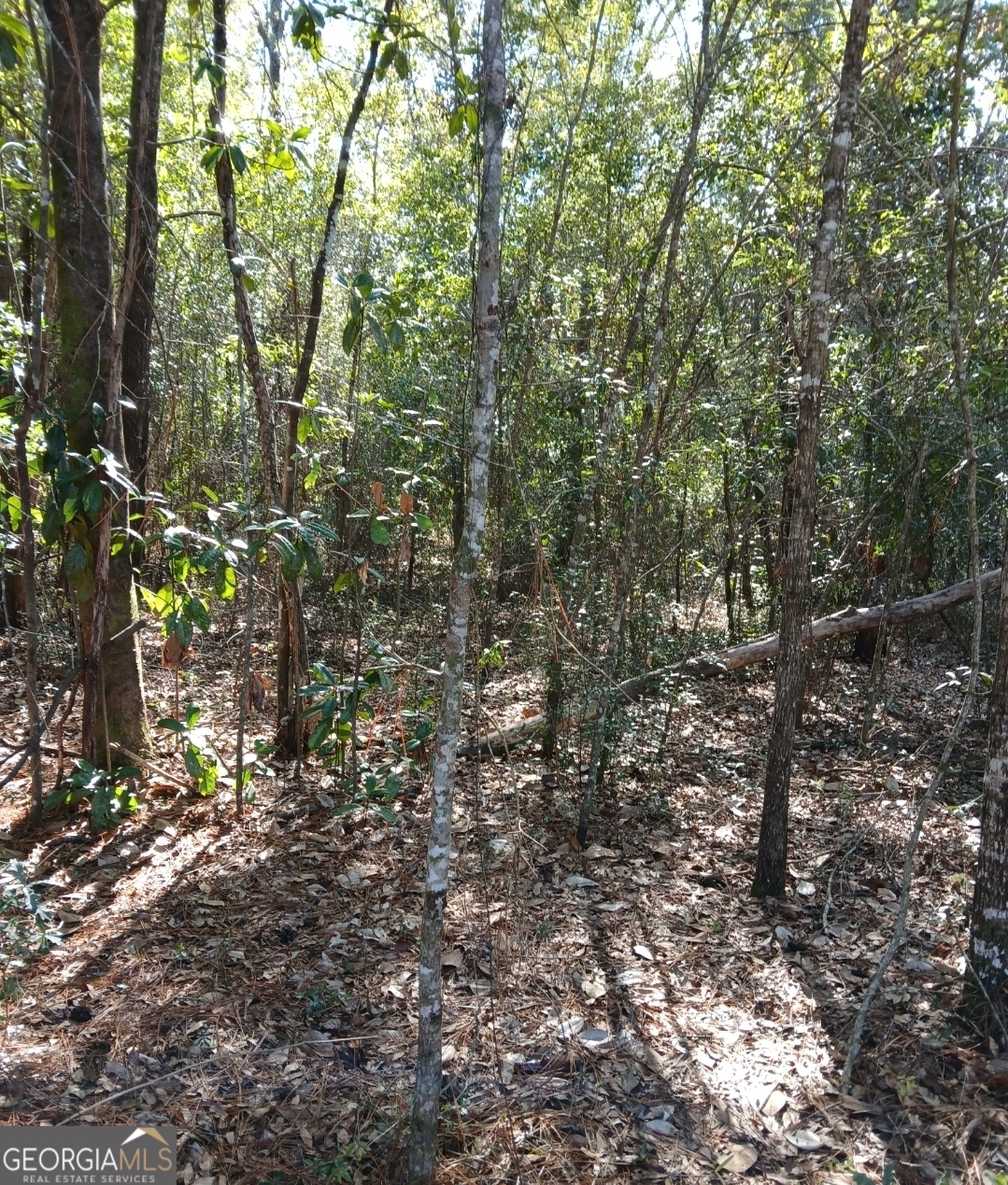 2 Owen Spatcher Road Folkston, GA 31537 - Photo 8 of 14 a view of a yard with a tree
