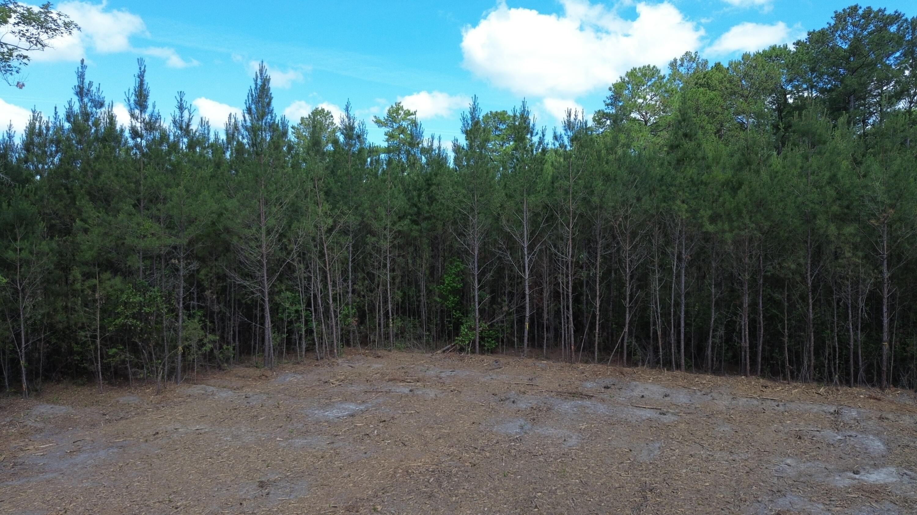 4 Highway 311 Cross, SC 29436 - Photo 4 of 11 DJI_0409