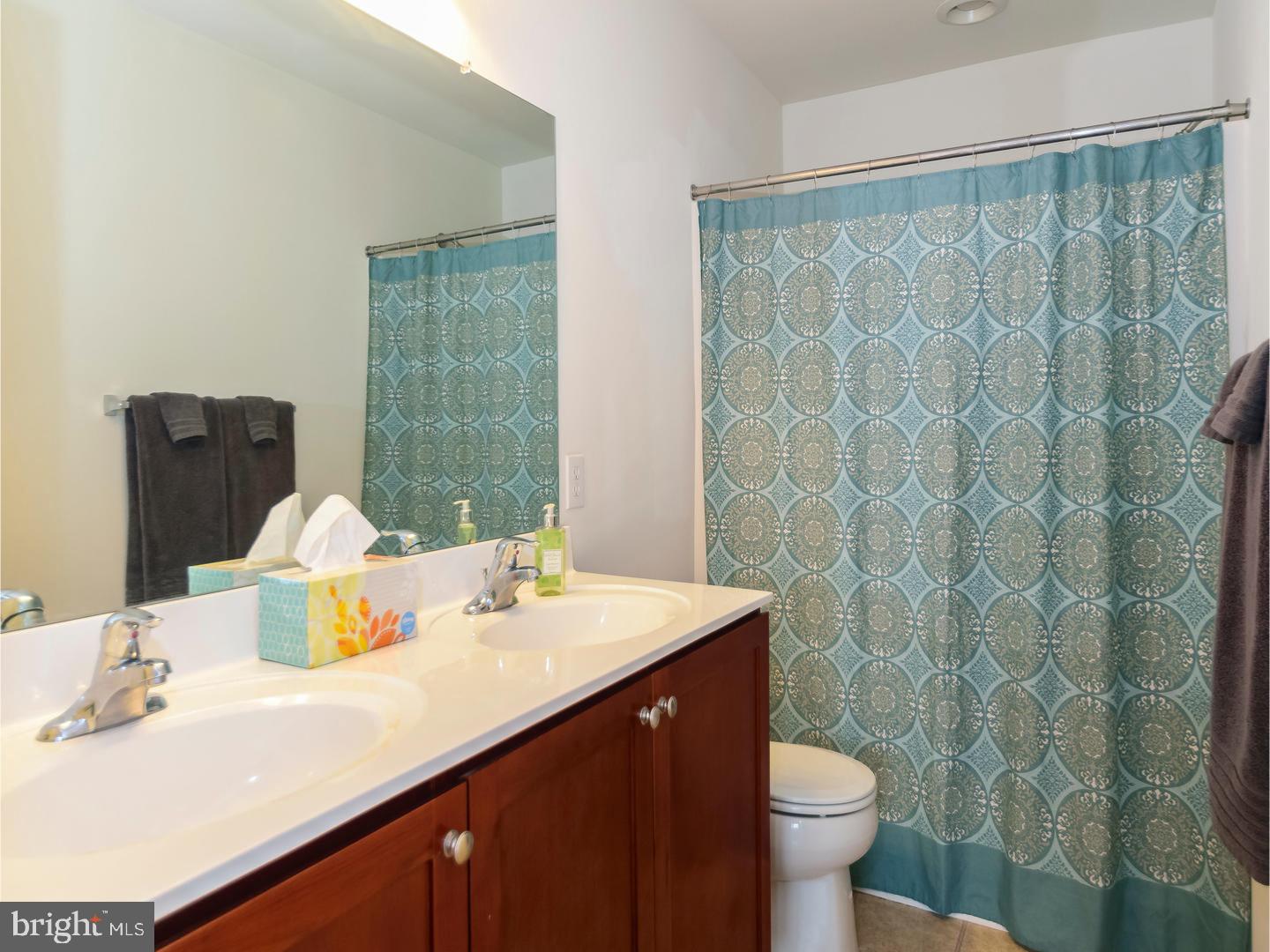 55 Sugar Maple Road Barto, PA 19504 - Photo 11 of 19 Master Bathroom