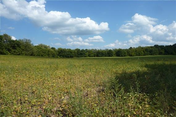 3340 Rives Junction Road Rives Junction, MI 49277 - Photo 4 of 10 Additional Photo