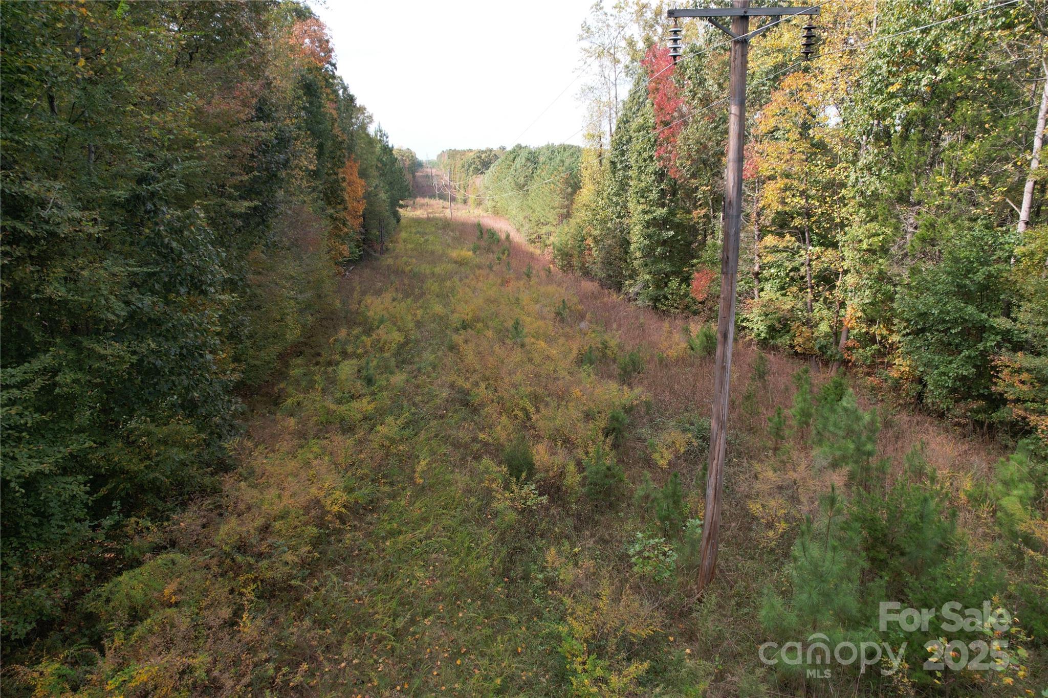Tbd Miles Road Dallas, NC 28034 - Photo 11 of 14 a view of a yard with trees in the background
