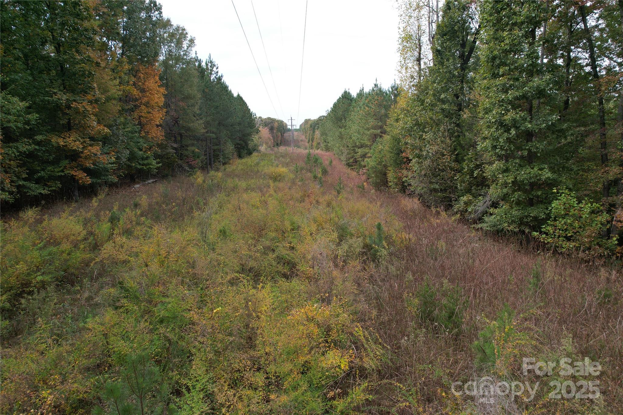 Tbd Miles Road Dallas, NC 28034 - Photo 14 of 14 a view of a forest with trees in the background