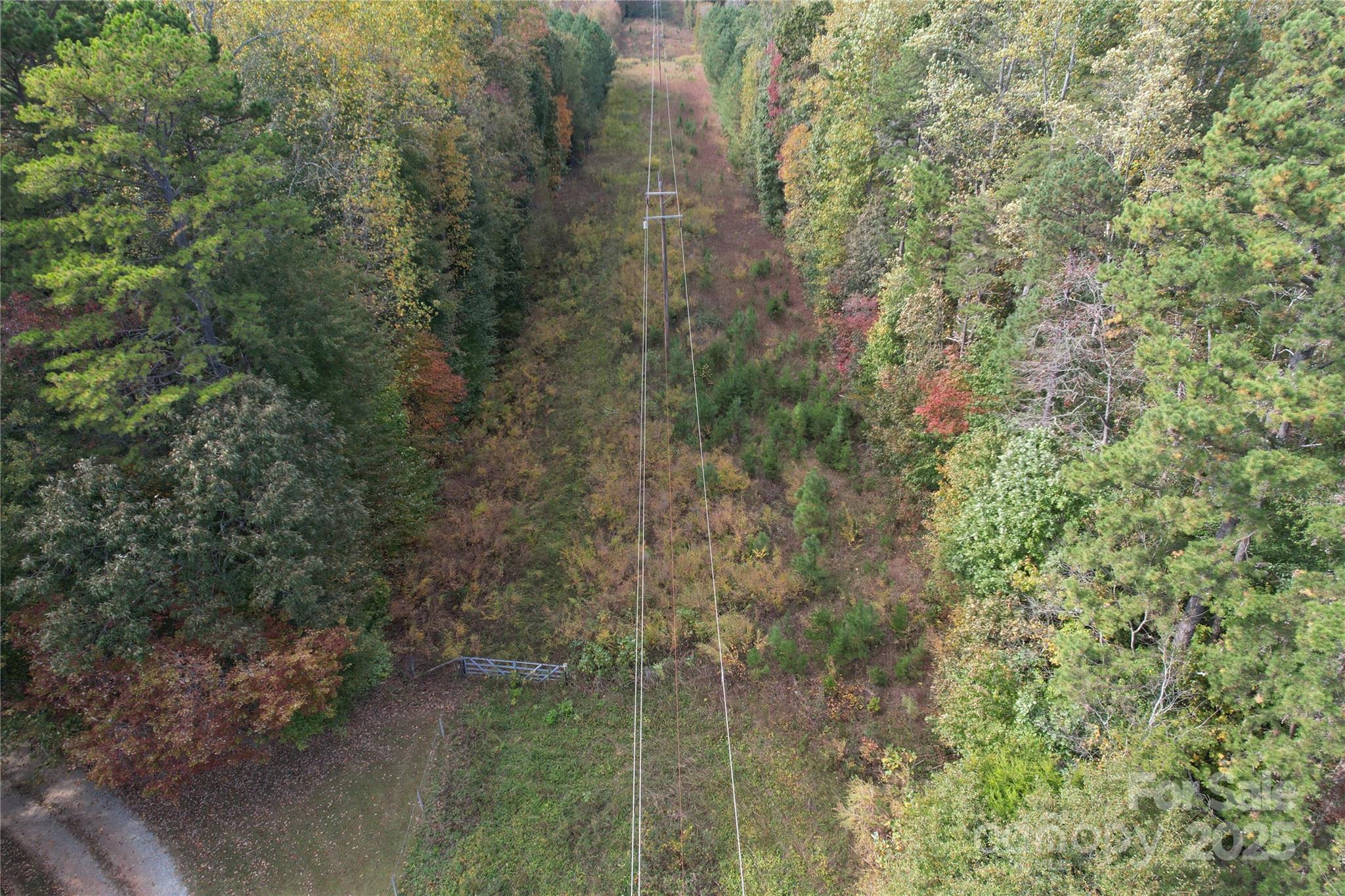 Tbd Miles Road Dallas, NC 28034 - Photo 6 of 14 a view of a lake view