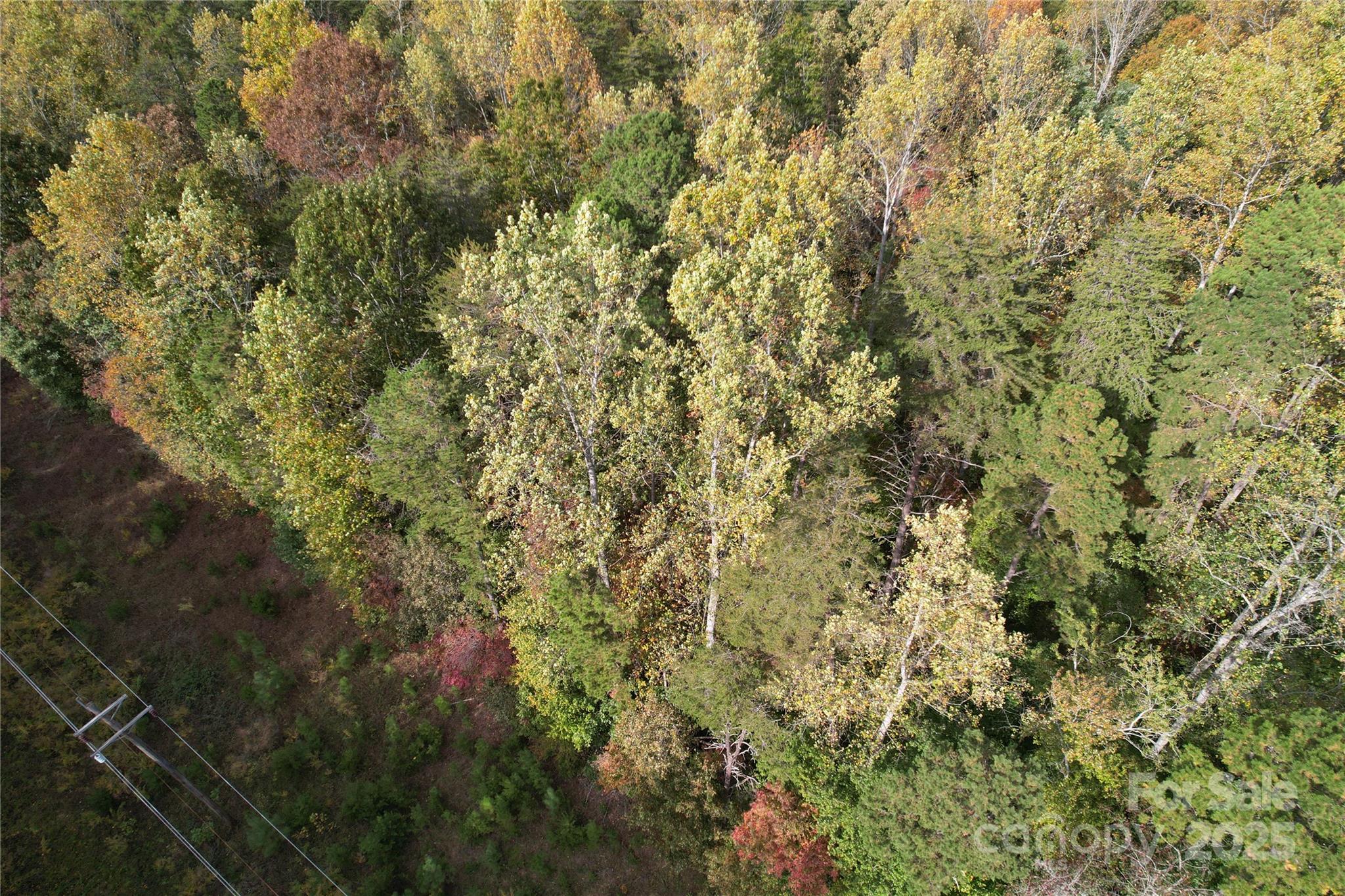 Tbd Miles Road Dallas, NC 28034 - Photo 8 of 14 a view of a yard