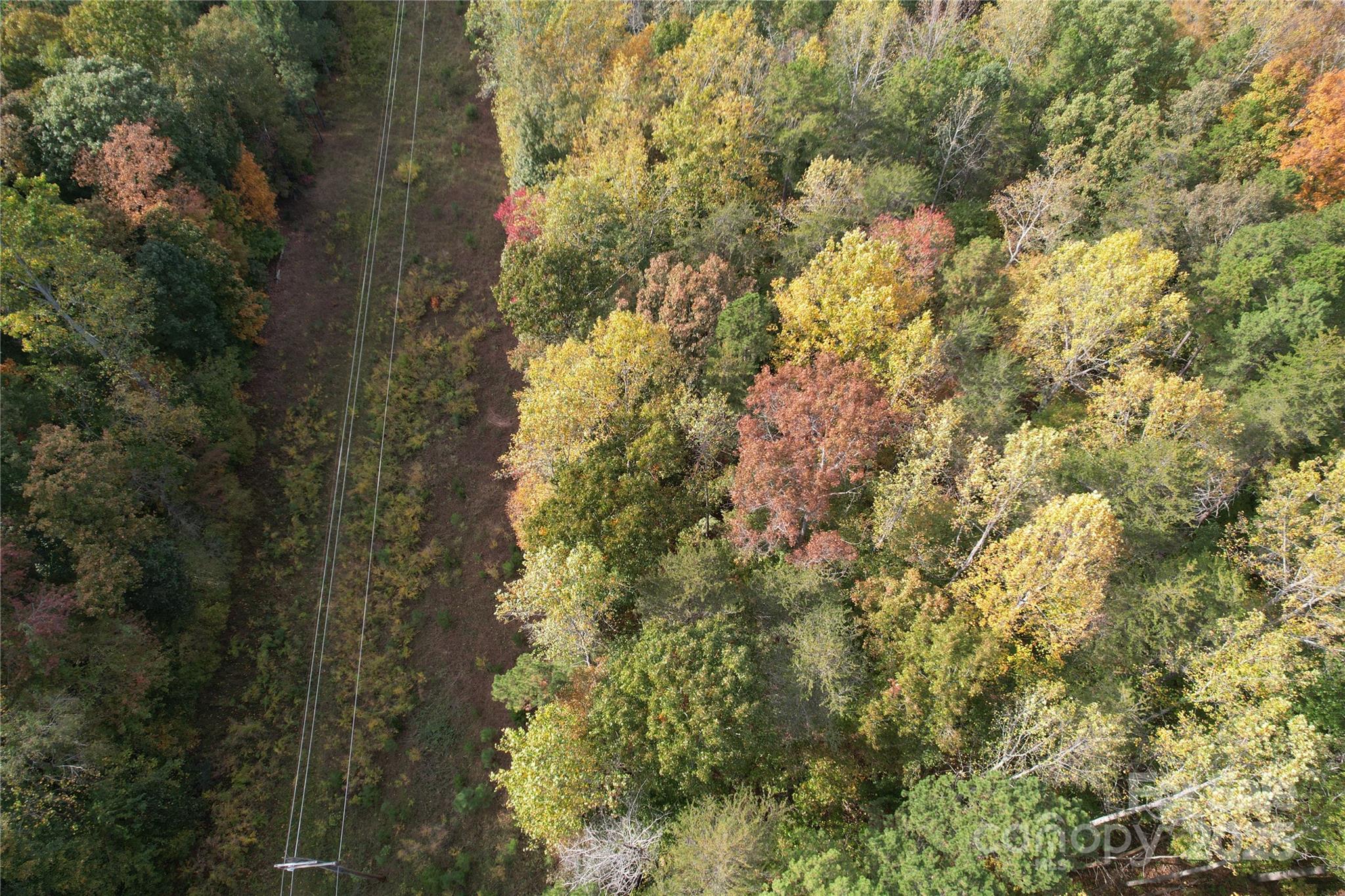 Tbd Miles Road Dallas, NC 28034 - Photo 9 of 14 a view of a house with a yard