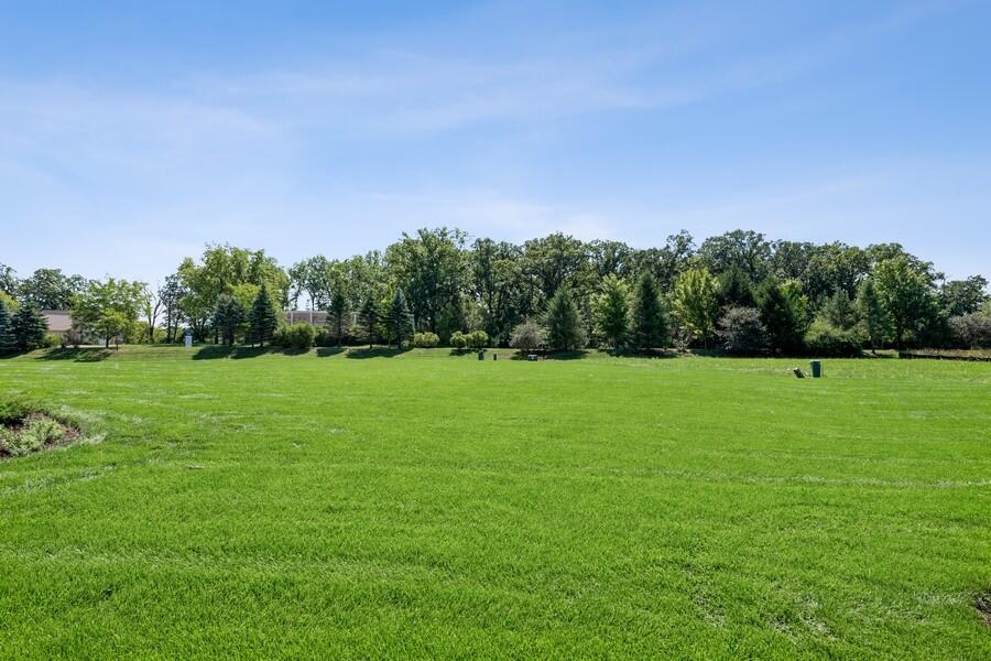 11290 Green Place Winfield, IN 46307 - Photo 25 of 27 a backyard of a house with lots of green space